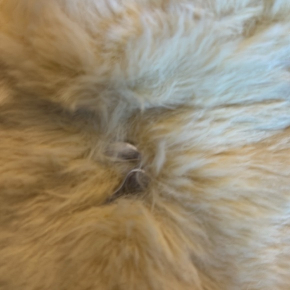 Coperni mini bag - Picture 2 of 6